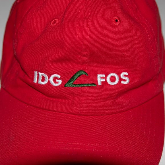 IDGFOS Dillon Francis EDM Hat - Picture 4 of 6